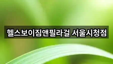 헬스보이짐앤필라걸 서울시청점