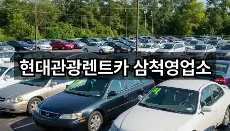 근처에서 찾는 강원 삼척 원당동 렌트카 3곳