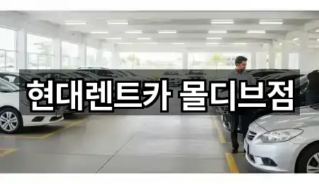 세종특별자치 종촌동 장기렌트카 위치/연락처 1건