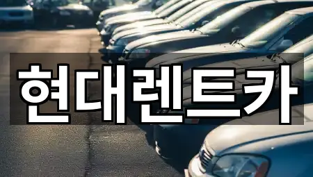 경북 울진군 렌트카 새로 추가 5곳