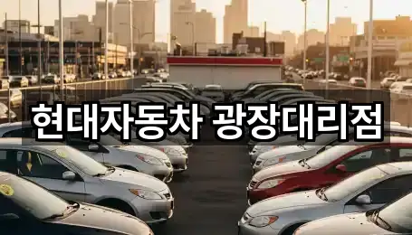 서울 광장동 자동차전시장 핵심 정보 3곳