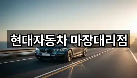동대문구 용두동 자동차전시장 3곳 지도로 확인