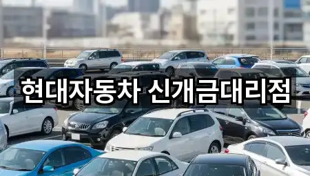 부산 주례동 자동차전시장 즉시 찾기 4곳