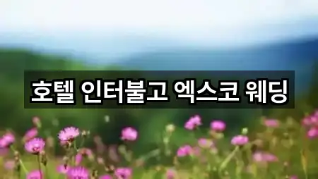 호텔 인터불고 엑스코 웨딩