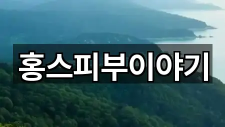 홍스피부이야기