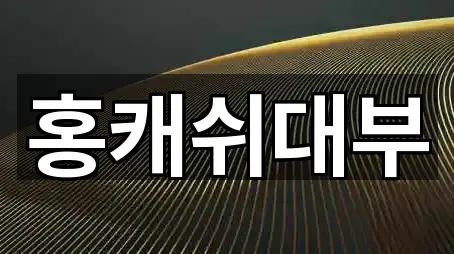 홍캐쉬대부