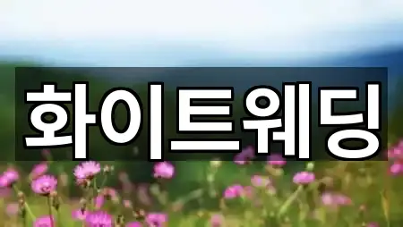 비용 확인: 목포시 남교동 웨딩드레스 2곳