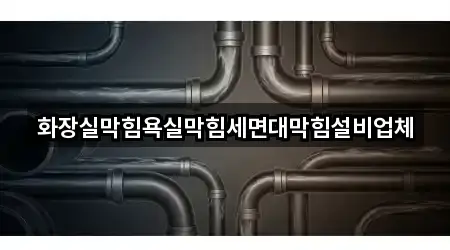배곧동 세면대 막힘 인증 업체 5곳