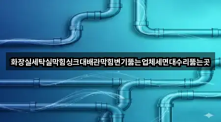 화장실세탁실막힘싱크대배관막힘변기뚫는업체세면대수리뚫는곳