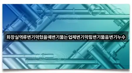 화장실역류변기막혔을때변기뚫는업체변기막힘변기뚫음변기누수