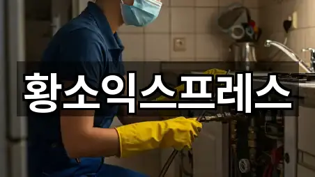 전주시 완산구 다가동2가 포장이사 위치 확인 3곳