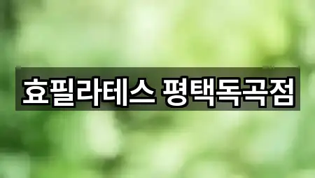 포커스: 경기도 평택시 서탄면 필라테스 5곳