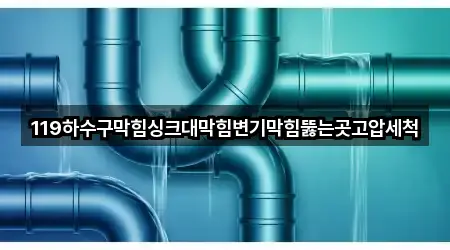 경상남도 창원 진해구 신흥동 변기막힘 빠른 연결 5곳