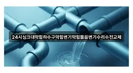 24시싱크대막힘하수구막힘변기막힘뚫음변기수리수전교체