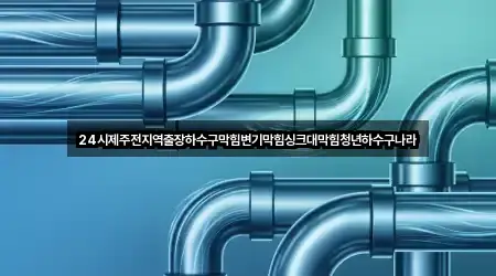 24시제주전지역출장하수구막힘변기막힘싱크대막힘청년하수구나라