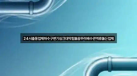 퀵 가이드 광주 하남동 배수관 막힘 1곳