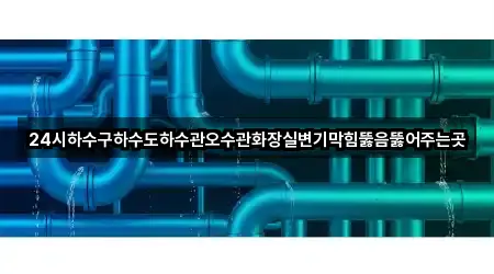핵심만 보기: 경기도 화성 송동 변기 막힘 5곳