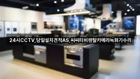 24시CCTV,당일설치견적AS,씨씨티비렌탈카메라녹화기수리