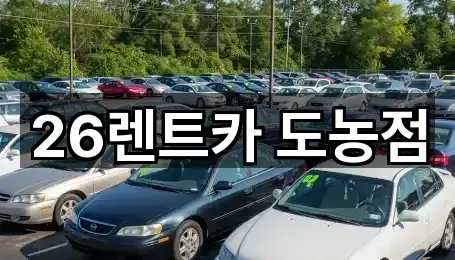 26렌트카 도농점