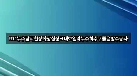 911누수탐지천장화장실싱크대보일러누수하수구뚫음방수공사