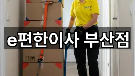 사하구 신평동 이사 5곳 쉽게 찾기