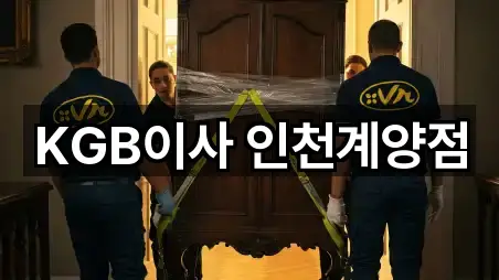 지도 브리핑: 경기도 부천시 원미구 약대동 포장이사 5곳