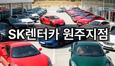 강원특별자치도 원주시 학성동 장기렌트카 연락처 확인 4건