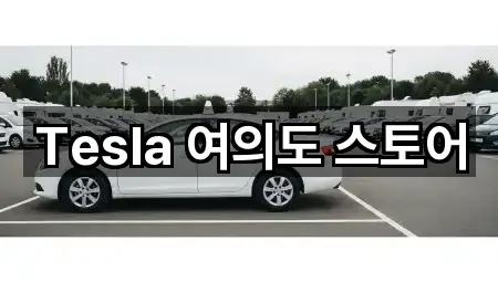 Tesla 여의도 스토어